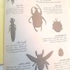 کتاب علمی حشرات
