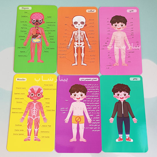 کارت های پازل آموزش اعضای بدن طرح پسر