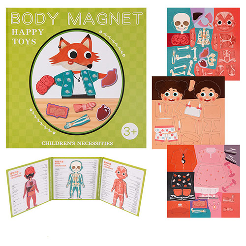 پازل آناتومی بدن کتابی مگنتی