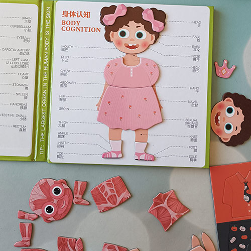 پازل آناتومی بدن کتابی مگنتی دختر