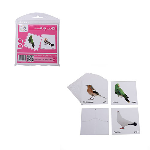 فلش کارت آموزشی پرندگان